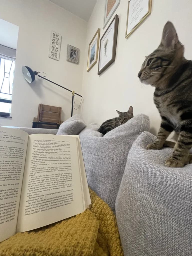 A book open on a sofa arm with two tabby cats perched behind it, in a reading nook.